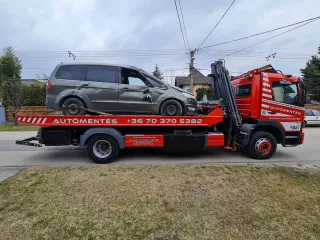 Darus automentes 51